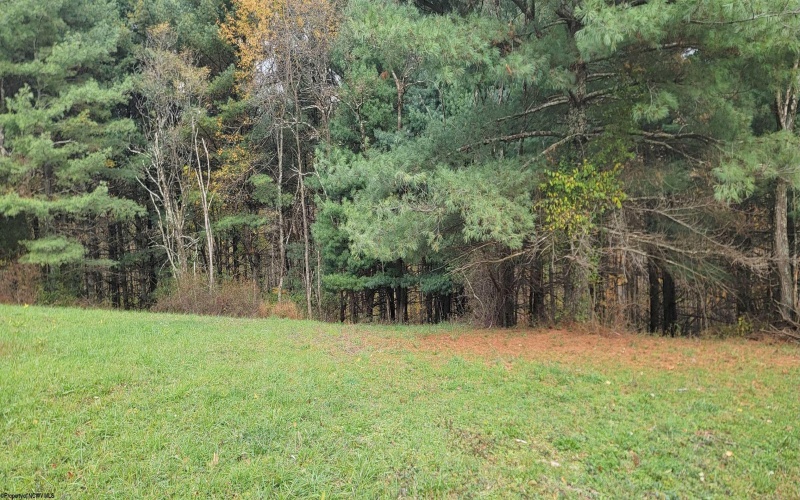 Lot 13 Sand Bank Road, Masontown, West Virginia 26542, ,Lots/land,For Sale,Sand Bank,10162121 Lot 13 Sand Bank Road, Masontown, West Virginia 26542, ,Lots/land,For Sale,Sand Bank,10162121