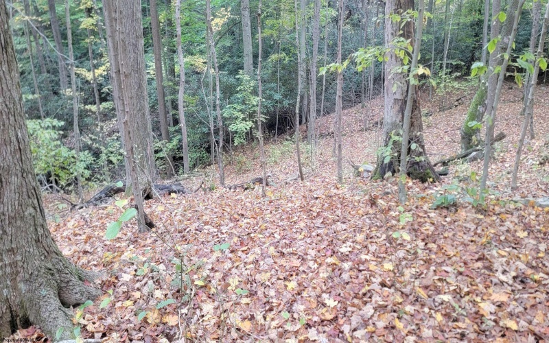 TBD Pine Ridge Road, Morgantown, West Virginia 26508, ,Lots/land,For Sale,Pine Ridge,10162120 TBD Pine Ridge Road, Morgantown, West Virginia 26508, ,Lots/land,For Sale,Pine Ridge,10162120