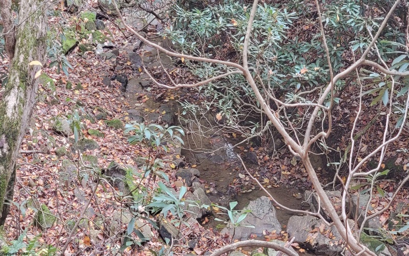 TBD Pine Ridge Road, Morgantown, West Virginia 26508, ,Lots/land,For Sale,Pine Ridge,10162120 TBD Pine Ridge Road, Morgantown, West Virginia 26508, ,Lots/land,For Sale,Pine Ridge,10162120