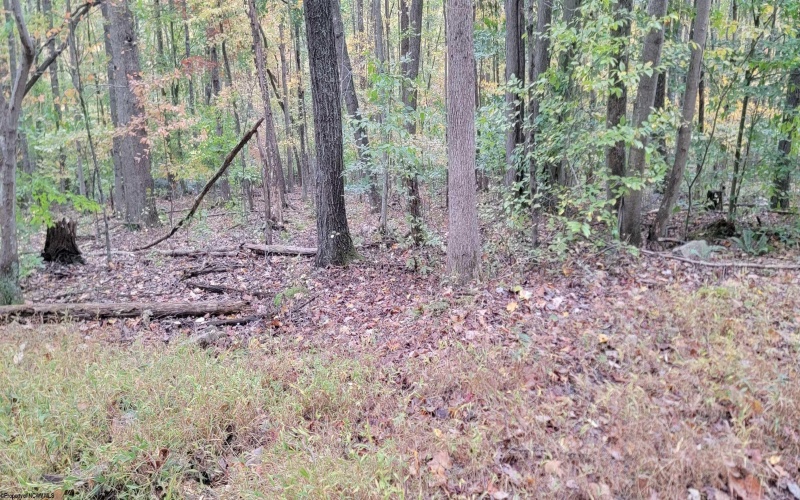 TBD Pine Ridge Road, Morgantown, West Virginia 26508, ,Lots/land,For Sale,Pine Ridge,10162120 TBD Pine Ridge Road, Morgantown, West Virginia 26508, ,Lots/land,For Sale,Pine Ridge,10162120