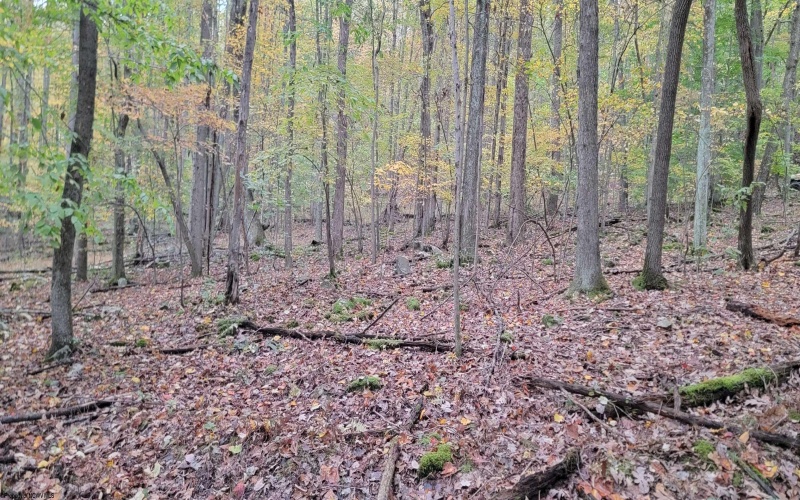 TBD Pine Ridge Road, Morgantown, West Virginia 26508, ,Lots/land,For Sale,Pine Ridge,10162120 TBD Pine Ridge Road, Morgantown, West Virginia 26508, ,Lots/land,For Sale,Pine Ridge,10162120