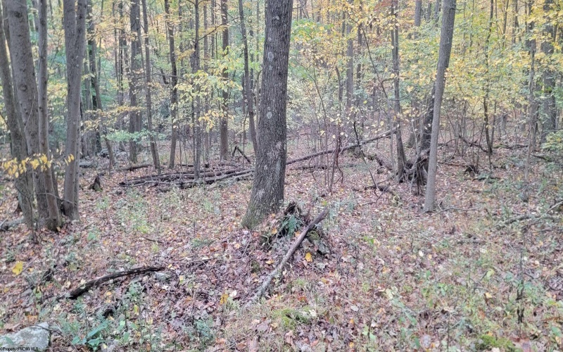 TBD Pine Ridge Road, Morgantown, West Virginia 26508, ,Lots/land,For Sale,Pine Ridge,10162120 TBD Pine Ridge Road, Morgantown, West Virginia 26508, ,Lots/land,For Sale,Pine Ridge,10162120