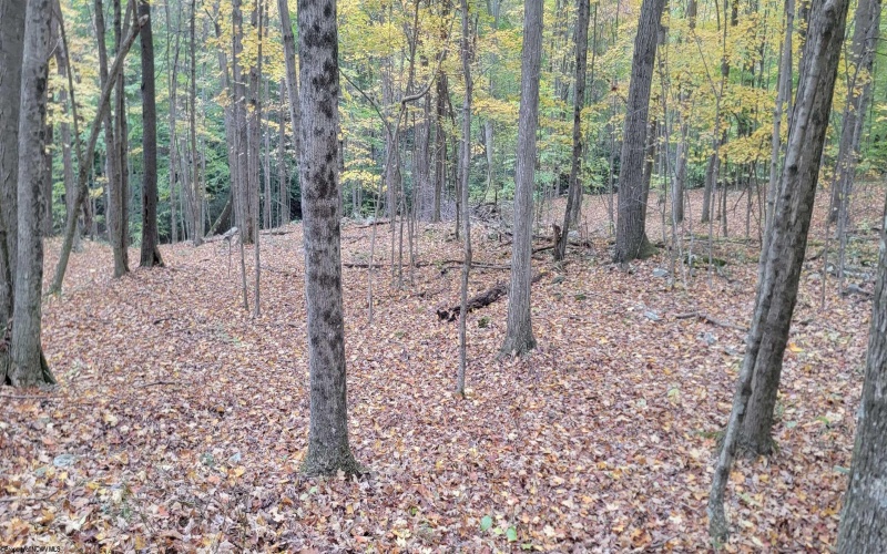 TBD Pine Ridge Road, Morgantown, West Virginia 26508, ,Lots/land,For Sale,Pine Ridge,10162120 TBD Pine Ridge Road, Morgantown, West Virginia 26508, ,Lots/land,For Sale,Pine Ridge,10162120