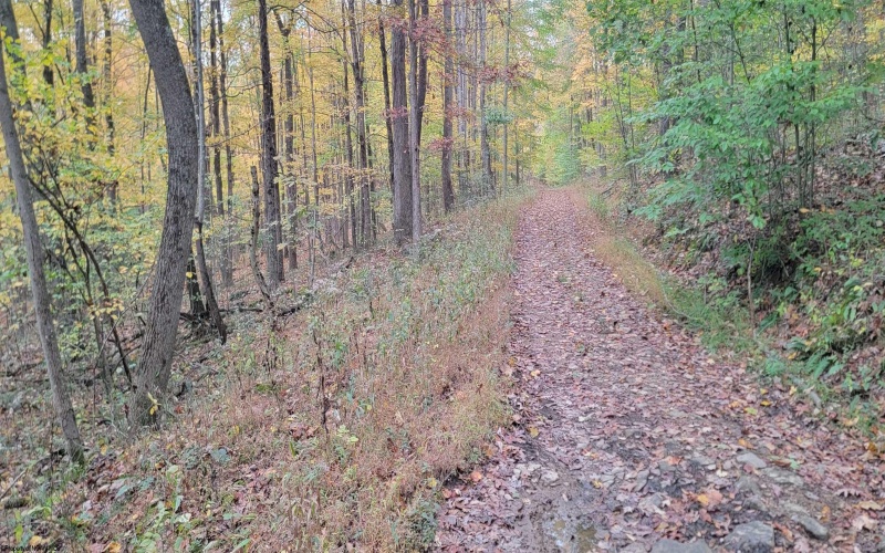 TBD Pine Ridge Road, Morgantown, West Virginia 26508, ,Lots/land,For Sale,Pine Ridge,10162120 TBD Pine Ridge Road, Morgantown, West Virginia 26508, ,Lots/land,For Sale,Pine Ridge,10162120