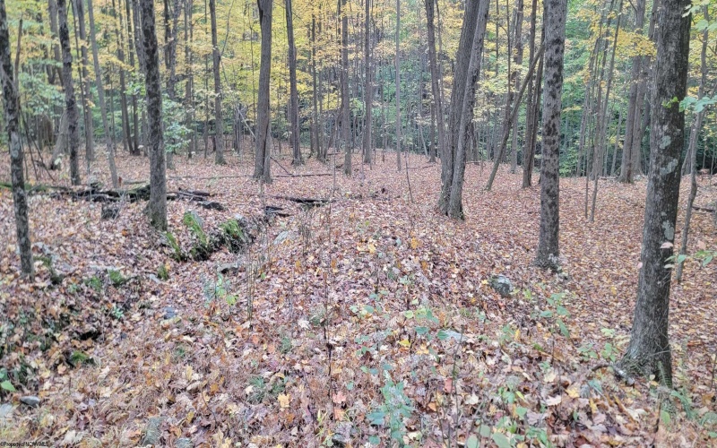 TBD Pine Ridge Road, Morgantown, West Virginia 26508, ,Lots/land,For Sale,Pine Ridge,10162120 TBD Pine Ridge Road, Morgantown, West Virginia 26508, ,Lots/land,For Sale,Pine Ridge,10162120