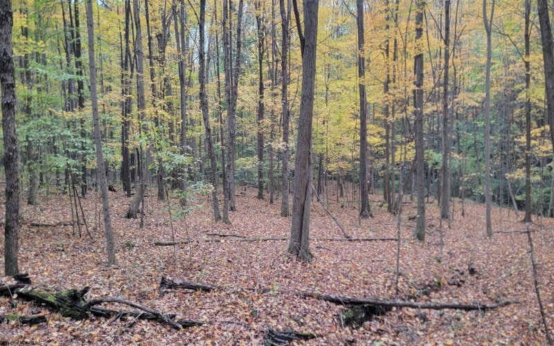 TBD Pine Ridge Road, Morgantown, West Virginia 26508, ,Lots/land,For Sale,Pine Ridge,10162120 TBD Pine Ridge Road, Morgantown, West Virginia 26508, ,Lots/land,For Sale,Pine Ridge,10162120