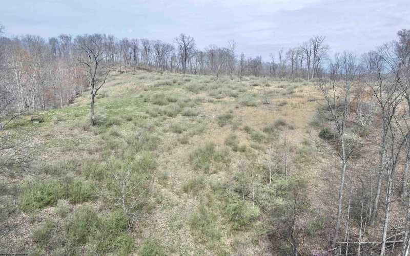 TBD Cowskin Fork Road, Duck, West Virginia 25063, ,Lots/land,For Sale,Cowskin Fork,10159075 TBD Cowskin Fork Road, Duck, West Virginia 25063, ,Lots/land,For Sale,Cowskin Fork,10159075