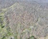 TBD Cowskin Fork Road, Duck, West Virginia 25063, ,Lots/land,For Sale,Cowskin Fork,10159075 TBD Cowskin Fork Road, Duck, West Virginia 25063, ,Lots/land,For Sale,Cowskin Fork,10159075