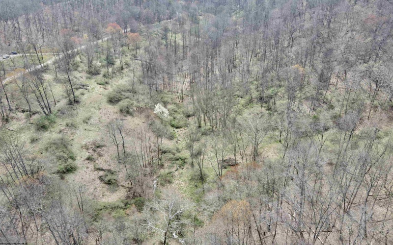 TBD Cowskin Fork Road, Duck, West Virginia 25063, ,Lots/land,For Sale,Cowskin Fork,10159075 TBD Cowskin Fork Road, Duck, West Virginia 25063, ,Lots/land,For Sale,Cowskin Fork,10159075