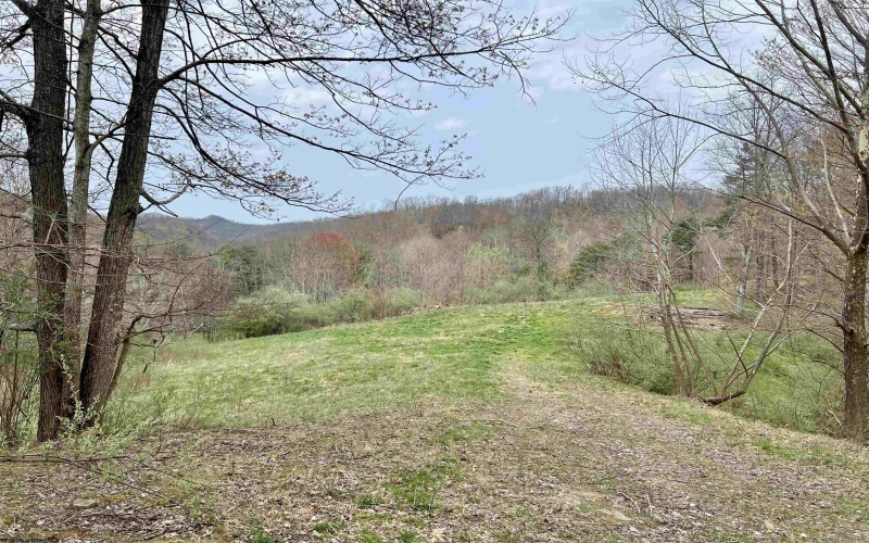 TBD Cowskin Fork Road, Duck, West Virginia 25063, ,Lots/land,For Sale,Cowskin Fork,10159075 TBD Cowskin Fork Road, Duck, West Virginia 25063, ,Lots/land,For Sale,Cowskin Fork,10159075