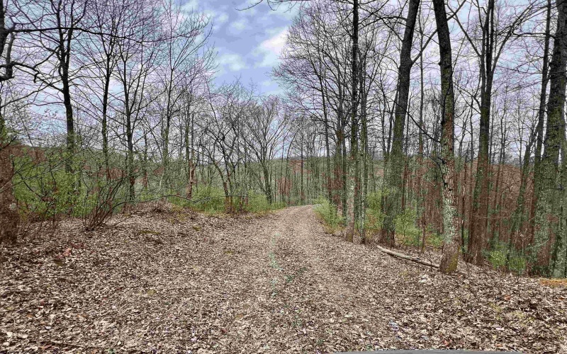 TBD Cowskin Fork Road, Duck, West Virginia 25063, ,Lots/land,For Sale,Cowskin Fork,10159075 TBD Cowskin Fork Road, Duck, West Virginia 25063, ,Lots/land,For Sale,Cowskin Fork,10159075