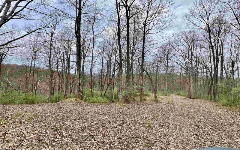 TBD Cowskin Fork Road, Duck, West Virginia 25063, ,Lots/land,For Sale,Cowskin Fork,10159075 TBD Cowskin Fork Road, Duck, West Virginia 25063, ,Lots/land,For Sale,Cowskin Fork,10159075