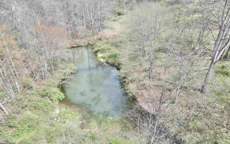 TBD Cowskin Fork Road, Duck, West Virginia 25063, ,Lots/land,For Sale,Cowskin Fork,10159075 TBD Cowskin Fork Road, Duck, West Virginia 25063, ,Lots/land,For Sale,Cowskin Fork,10159075