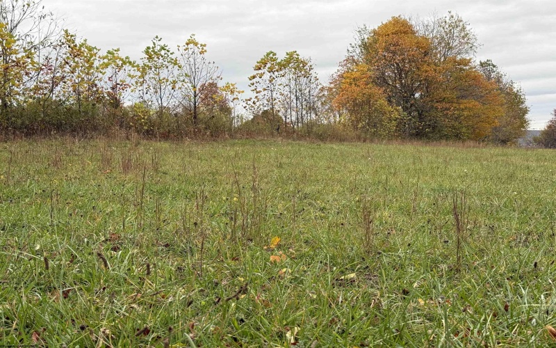 00 Riggins Road, Kingwood, West Virginia 26537, ,Lots/land,For Sale,Riggins,10162137 00 Riggins Road, Kingwood, West Virginia 26537, ,Lots/land,For Sale,Riggins,10162137