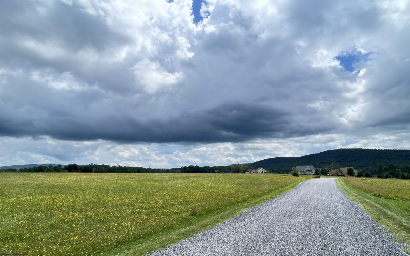 Lot A Cortland Road, Davis, West Virginia 26260, ,Lots/land,For Sale,Cortland,10162126