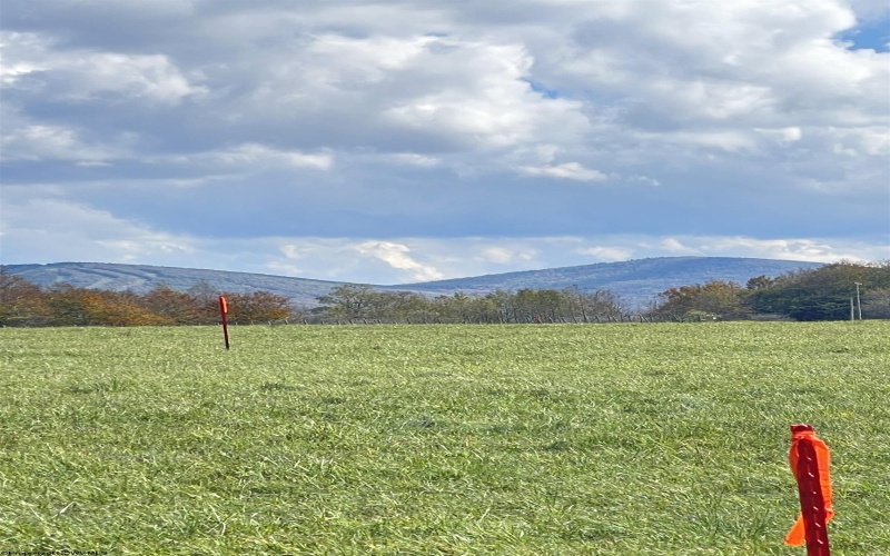 Lot A Cortland Road, Davis, West Virginia 26260, ,Lots/land,For Sale,Cortland,10162126