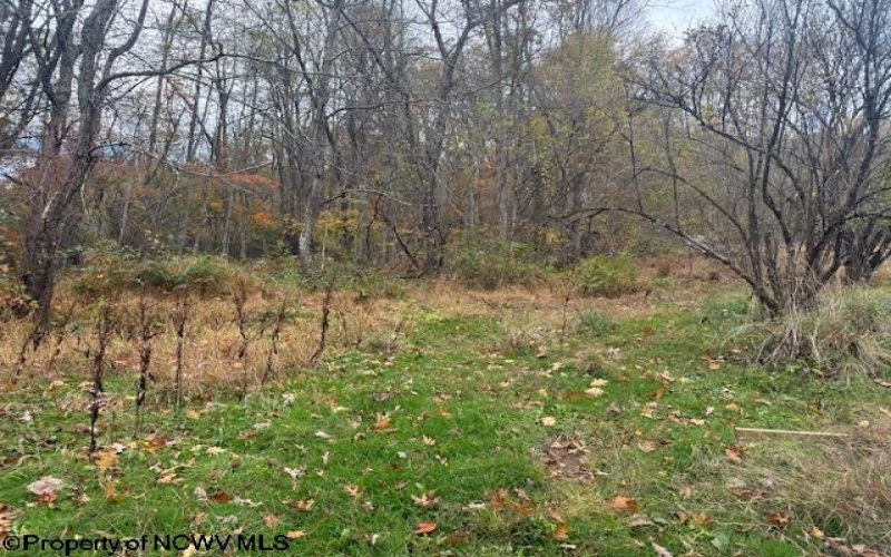 130 Appleton Way, Mill Creek, West Virginia 26280, ,Lots/land,For Sale,Appleton,10162128 130 Appleton Way, Mill Creek, West Virginia 26280, ,Lots/land,For Sale,Appleton,10162128