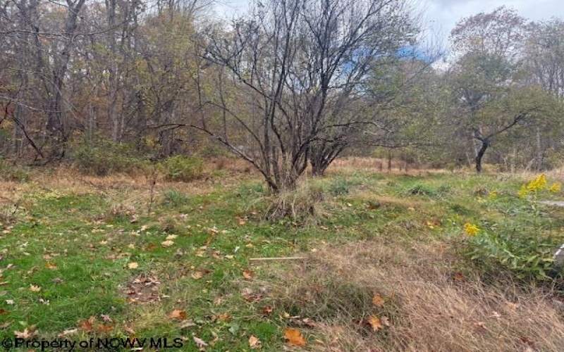 130 Appleton Way, Mill Creek, West Virginia 26280, ,Lots/land,For Sale,Appleton,10162128 130 Appleton Way, Mill Creek, West Virginia 26280, ,Lots/land,For Sale,Appleton,10162128