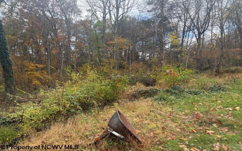 130 Appleton Way, Mill Creek, West Virginia 26280, ,Lots/land,For Sale,Appleton,10162128 130 Appleton Way, Mill Creek, West Virginia 26280, ,Lots/land,For Sale,Appleton,10162128