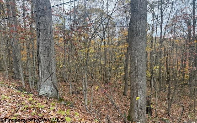 130 Appleton Way, Mill Creek, West Virginia 26280, ,Lots/land,For Sale,Appleton,10162128 130 Appleton Way, Mill Creek, West Virginia 26280, ,Lots/land,For Sale,Appleton,10162128