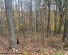 130 Appleton Way, Mill Creek, West Virginia 26280, ,Lots/land,For Sale,Appleton,10162128 130 Appleton Way, Mill Creek, West Virginia 26280, ,Lots/land,For Sale,Appleton,10162128