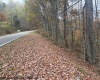 130 Appleton Way, Mill Creek, West Virginia 26280, ,Lots/land,For Sale,Appleton,10162128 130 Appleton Way, Mill Creek, West Virginia 26280, ,Lots/land,For Sale,Appleton,10162128