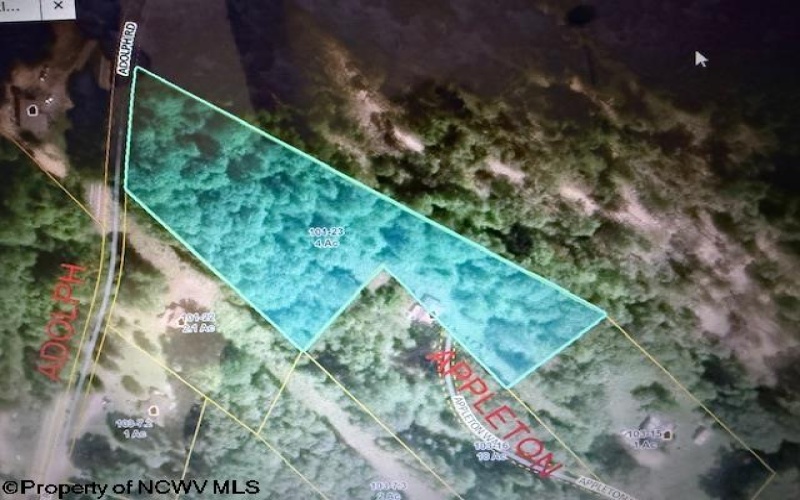 130 Appleton Way, Mill Creek, West Virginia 26280, ,Lots/land,For Sale,Appleton,10162128 130 Appleton Way, Mill Creek, West Virginia 26280, ,Lots/land,For Sale,Appleton,10162128