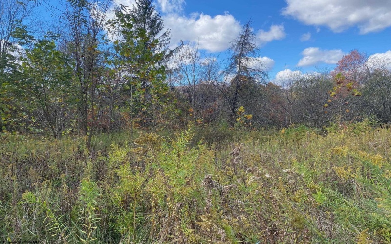 TBD Linda Lane, Elkins, West Virginia 26241, ,Lots/land,For Sale,Linda,10162133 TBD Linda Lane, Elkins, West Virginia 26241, ,Lots/land,For Sale,Linda,10162133