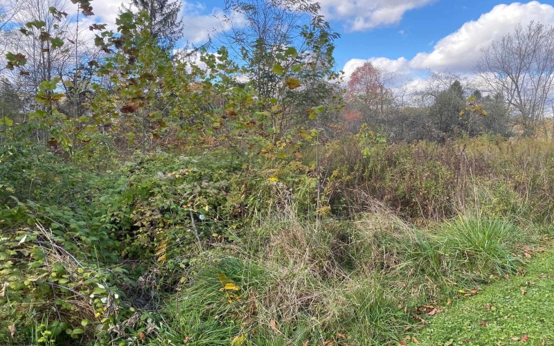 TBD Linda Lane, Elkins, West Virginia 26241, ,Lots/land,For Sale,Linda,10162133 TBD Linda Lane, Elkins, West Virginia 26241, ,Lots/land,For Sale,Linda,10162133