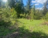 TBD Linda Lane, Elkins, West Virginia 26241, 0 , 0 ,0,Lots/land,For Sale,Linda,0,10162133