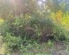 TBD Linda Lane, Elkins, West Virginia 26241, 0 , 0 ,0,Lots/land,For Sale,Linda,0,10162133