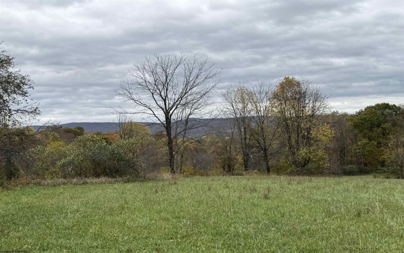 0 Riggins Road, Kingwood, West Virginia 26537, ,Lots/land,For Sale,Riggins,10162138