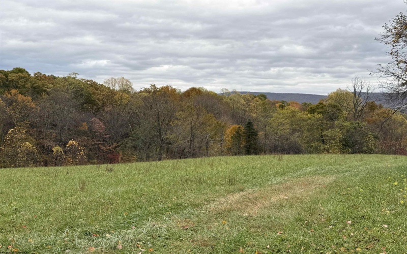 0 Riggins Road, Kingwood, West Virginia 26537, ,Lots/land,For Sale,Riggins,10162138