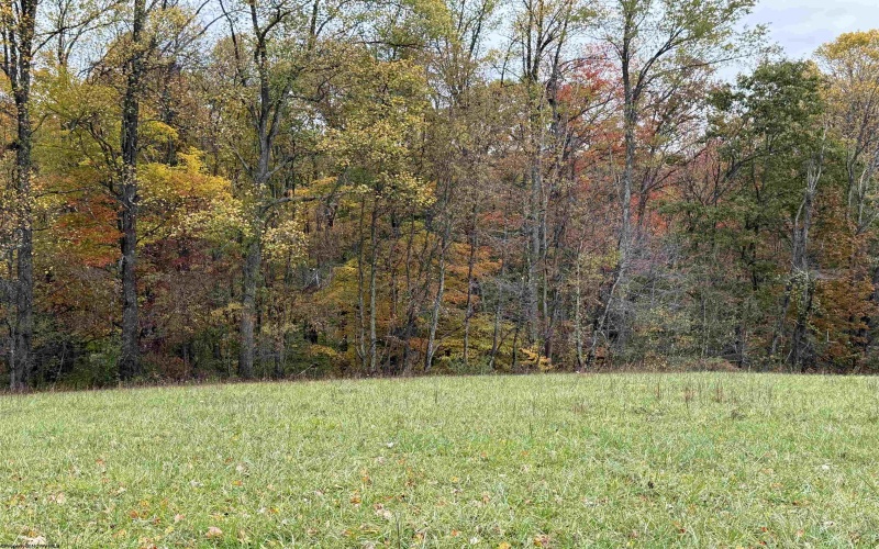 0 Riggins Road, Kingwood, West Virginia 26537, ,Lots/land,For Sale,Riggins,10162138