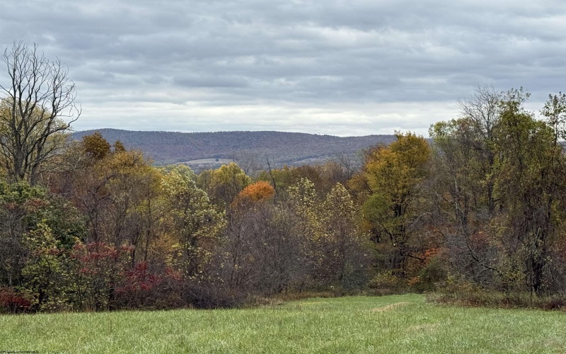 0 Riggins Road, Kingwood, West Virginia 26537, ,Lots/land,For Sale,Riggins,10162138