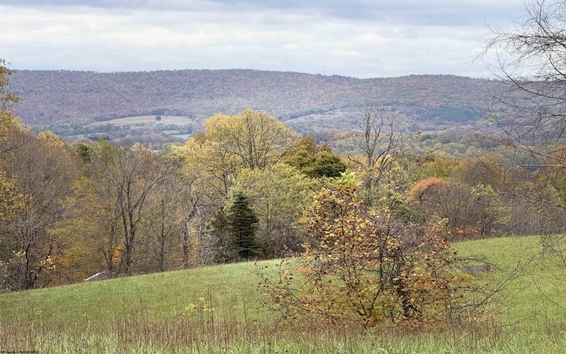 0 Riggins Road, Kingwood, West Virginia 26537, ,Lots/land,For Sale,Riggins,10162138