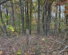 0 Riggins Road, Kingwood, West Virginia 26537, ,Lots/land,For Sale,Riggins,10162138