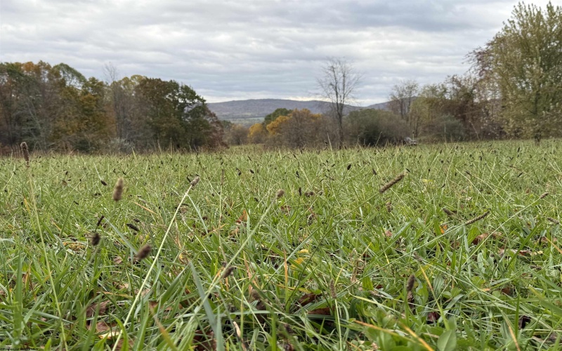 0 Riggins Road, Kingwood, West Virginia 26537, ,Lots/land,For Sale,Riggins,10162138