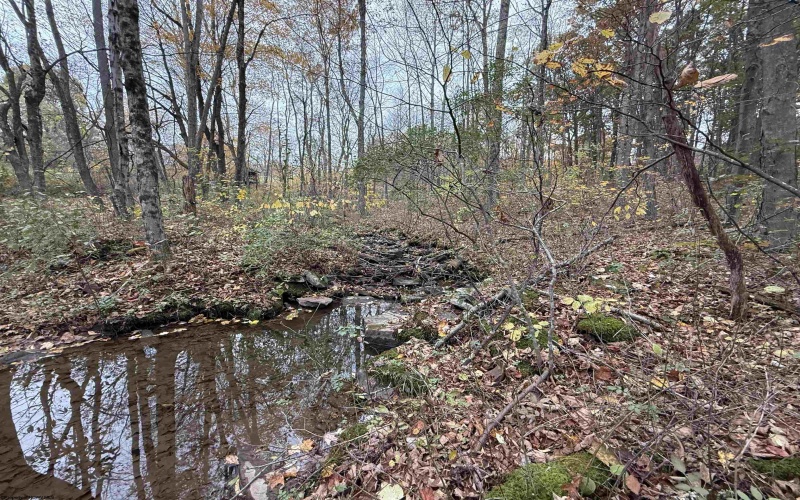 0 Riggins Road, Kingwood, West Virginia 26537, ,Lots/land,For Sale,Riggins,10162138