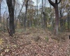 0 Riggins Road, Kingwood, West Virginia 26537, ,Lots/land,For Sale,Riggins,10162138