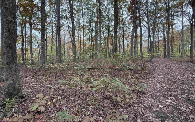 0 Riggins Road, Kingwood, West Virginia 26537, ,Lots/land,For Sale,Riggins,10162138