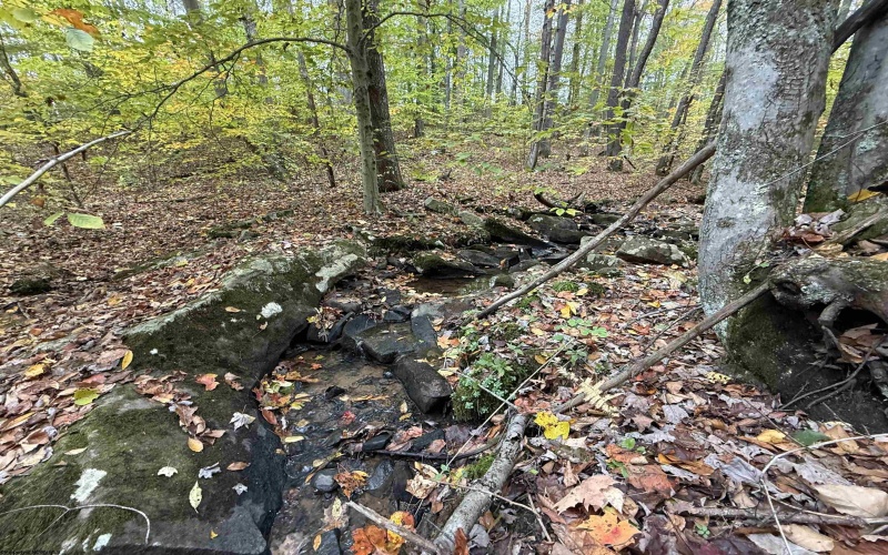 0 Riggins Road, Kingwood, West Virginia 26537, ,Lots/land,For Sale,Riggins,10162138