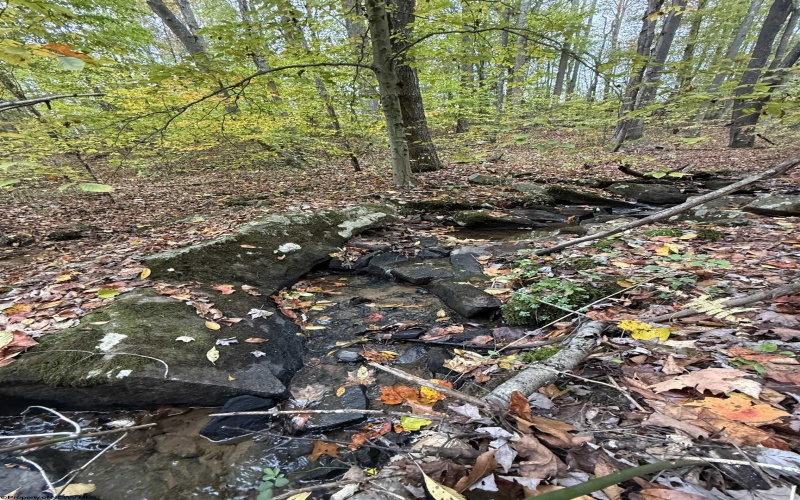 0 Riggins Road, Kingwood, West Virginia 26537, ,Lots/land,For Sale,Riggins,10162138