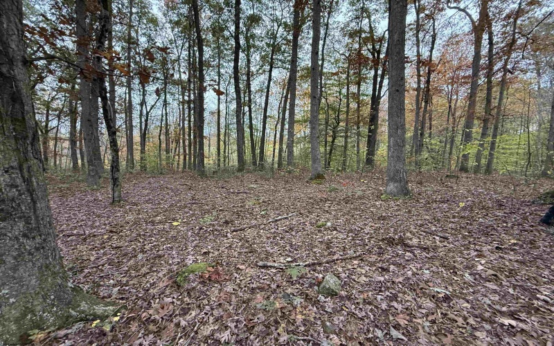 0 Riggins Road, Kingwood, West Virginia 26537, ,Lots/land,For Sale,Riggins,10162138