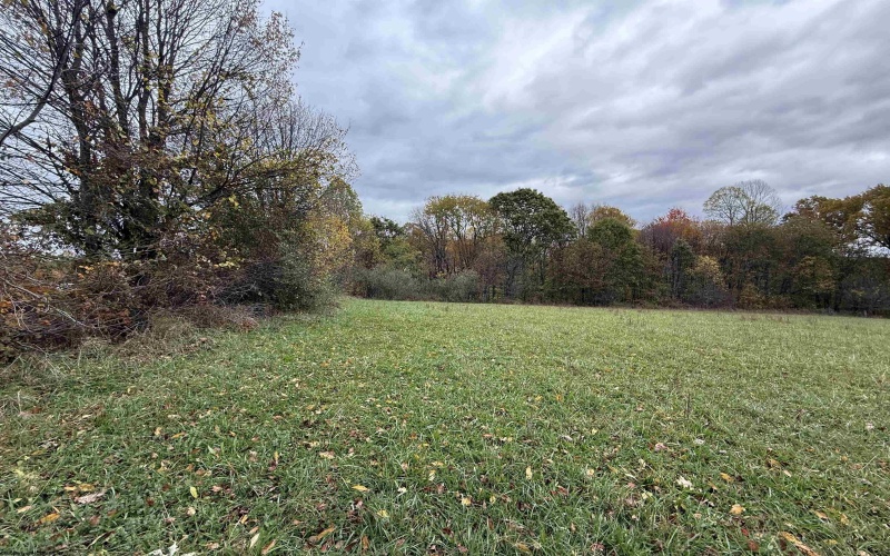 0 Riggins Road, Kingwood, West Virginia 26537, ,Lots/land,For Sale,Riggins,10162138