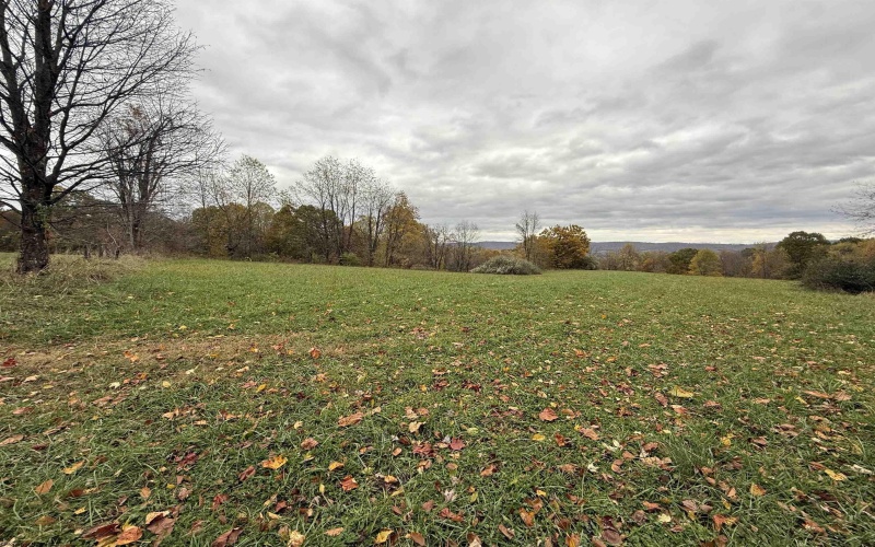 0 Riggins Road, Kingwood, West Virginia 26537, ,Lots/land,For Sale,Riggins,10162138