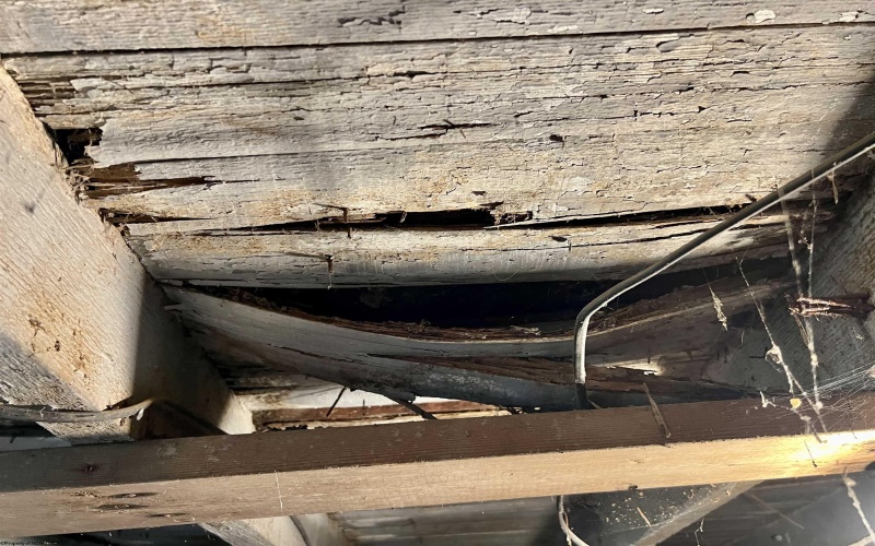 302 Butchers Lane, Weston, West Virginia 26452, ,Lots/land,For Sale,Butchers,10162141