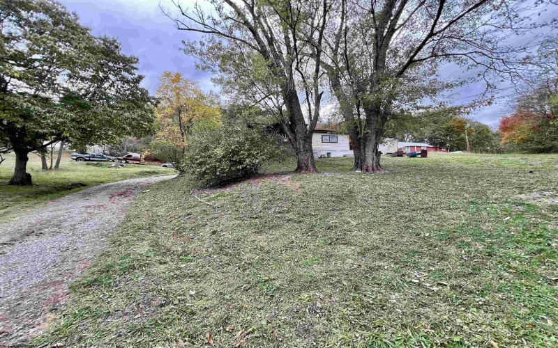 302 Butchers Lane, Weston, West Virginia 26452, ,Lots/land,For Sale,Butchers,10162141