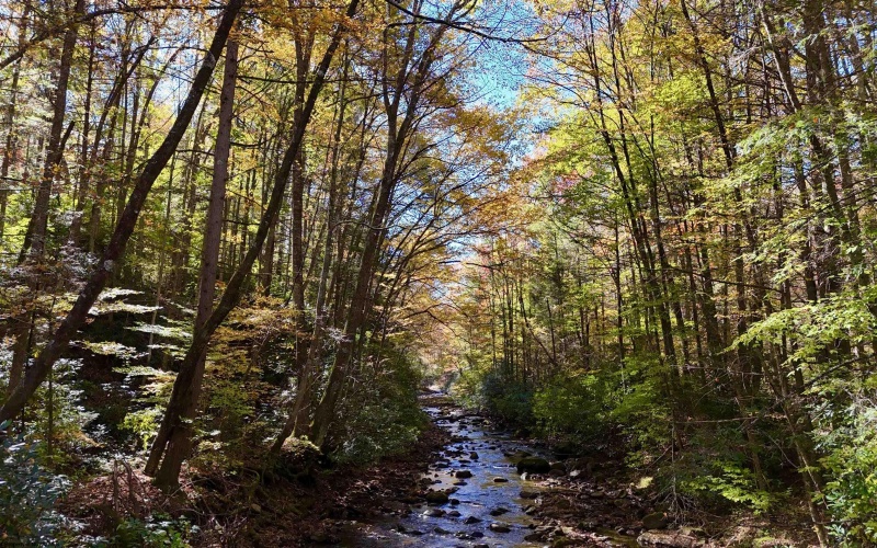 2453 Channel Road, Mill Creek, West Virginia 26280, ,Lots/land,For Sale,Channel,10157262 2453 Channel Road, Mill Creek, West Virginia 26280, ,Lots/land,For Sale,Channel,10157262