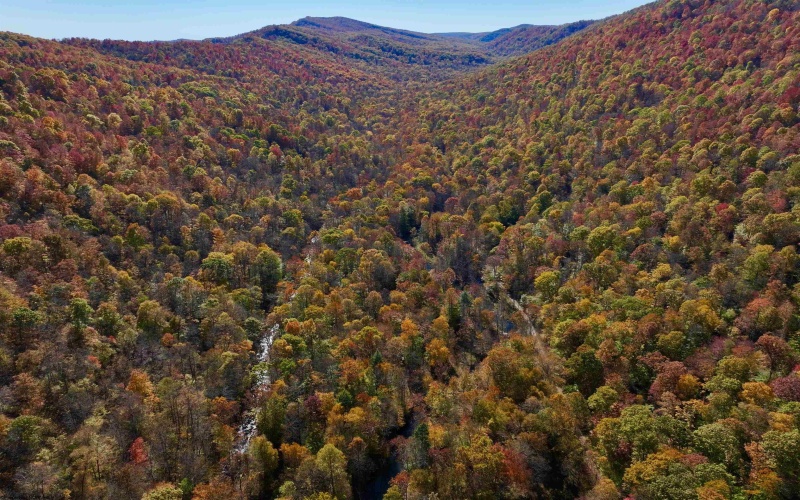 2453 Channel Road, Mill Creek, West Virginia 26280, ,Lots/land,For Sale,Channel,10157262 2453 Channel Road, Mill Creek, West Virginia 26280, ,Lots/land,For Sale,Channel,10157262
